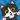 Cute Cat RPG