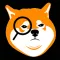 Shiba Search