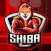 Shiba Runner