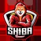 Shiba Runner