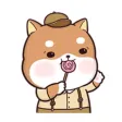 Shiba Inu Puppy Shiba Inu Puppy