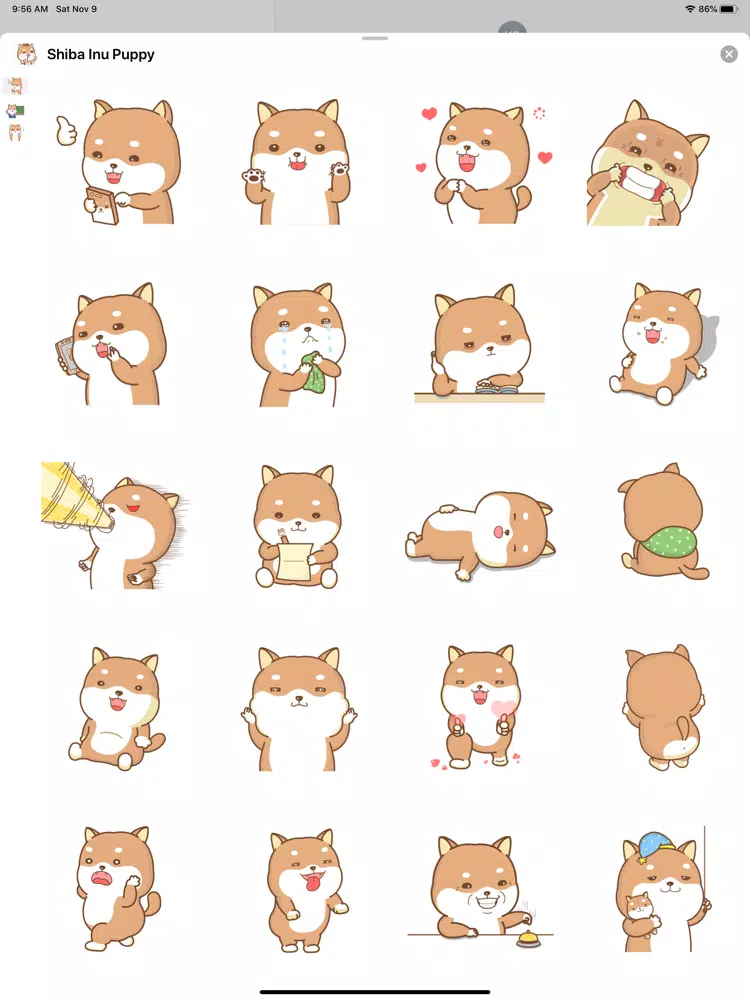Shiba Inu Puppy iPad 应用截图
