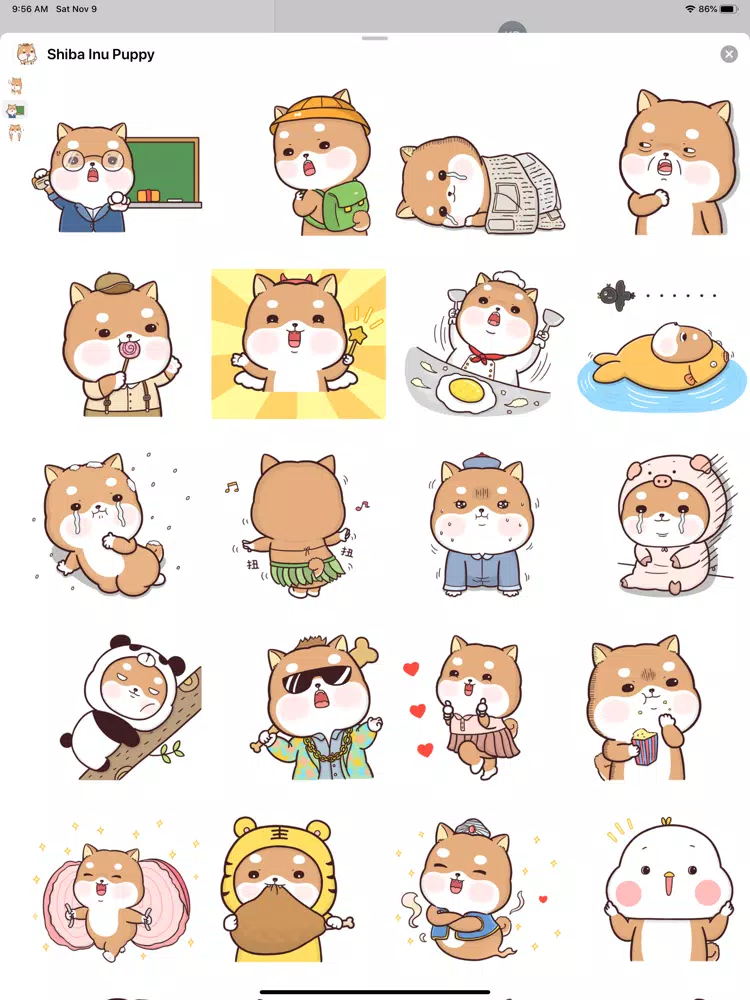 Shiba Inu Puppy iPad 应用截图