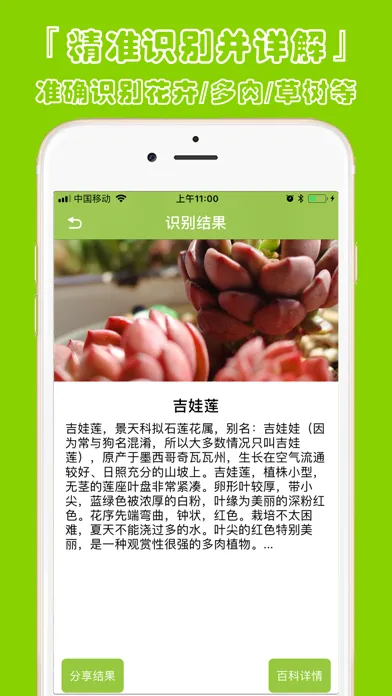 植物识别-认识植物图鉴平台应用截图
