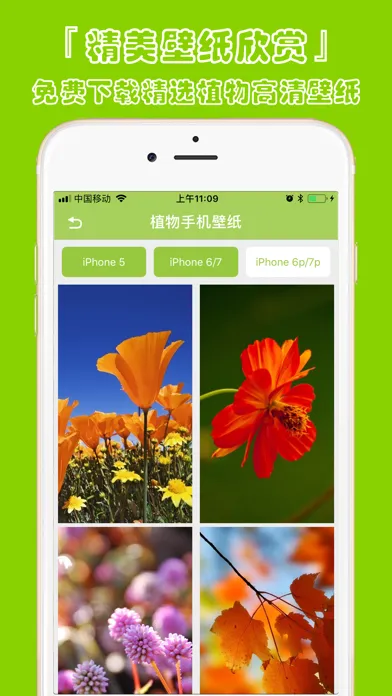 植物识别-认识植物图鉴平台应用截图