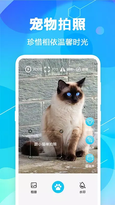 猫语翻译 Ekran Görüntüleri