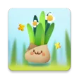 Pocket Plants