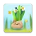 Pocket Plants