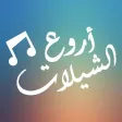 شيلات منوعه بدون نت ٢٠٢١