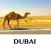 Dubai - holiday offline travel map