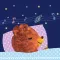 眠る音楽療法 大人の為の睡眠導入 ~オトサプリ~