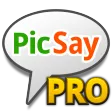 PicSay Pro - Photo Editor