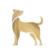 Shinyu – Pet Sitters & Walkers