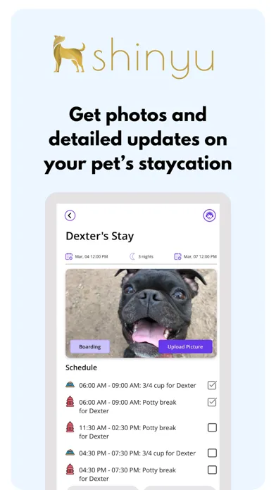 Shinyu – Pet Sitters & Walkers应用截图