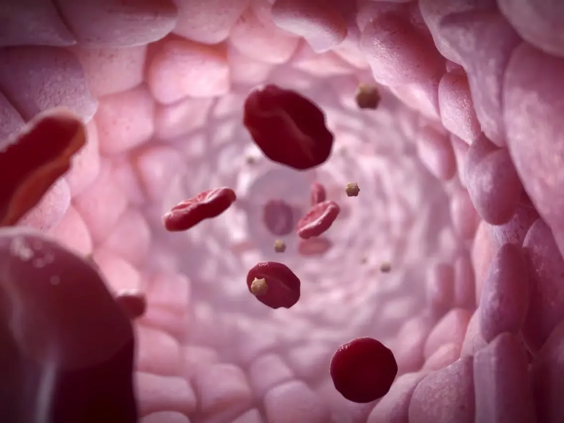 Hematology VR iPad 应用截图