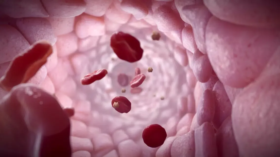 Hematology VR应用截图