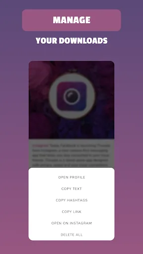 Insget - Instagram Downloader Screenshots