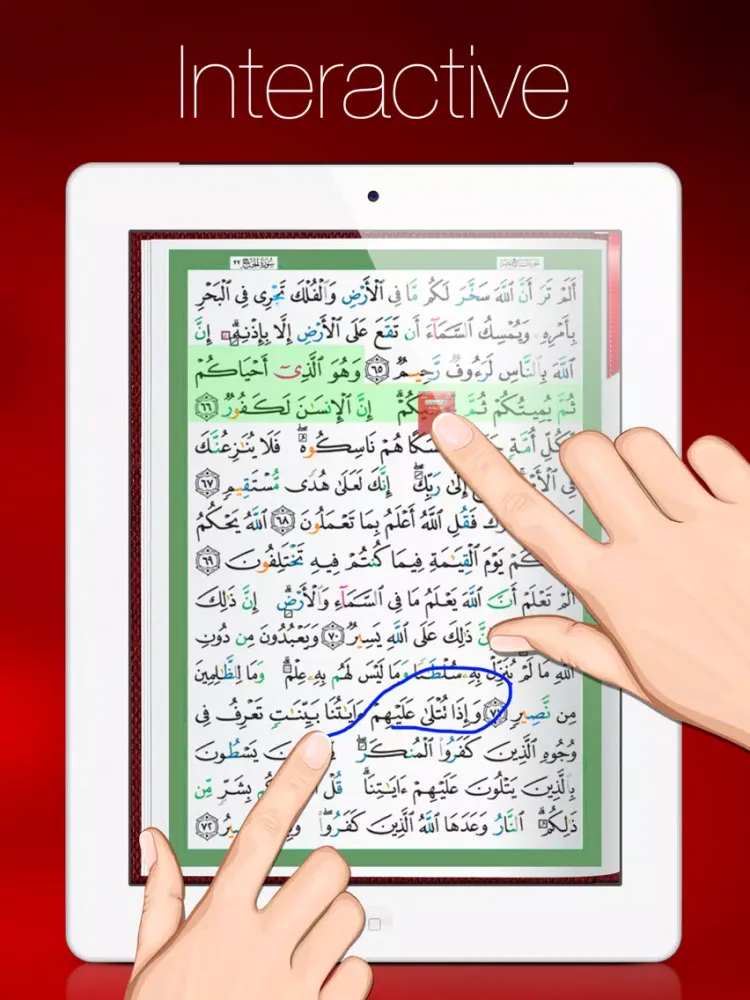 Tajweed Quran - مصحف التجوید iPad  Screenshots
