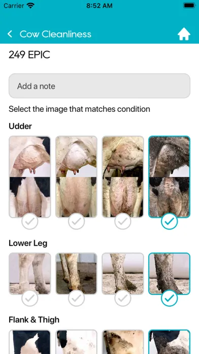 تصاویر Lactanet Mobile