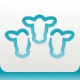 Udder Health Lac-T