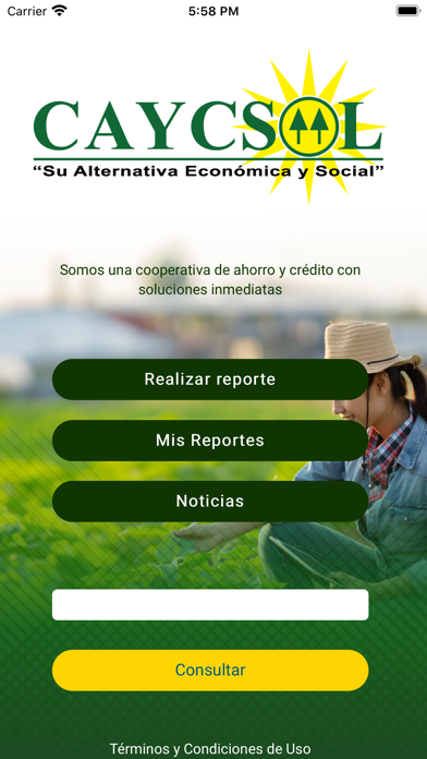 تصاویر System Monitor SOL-CAYC