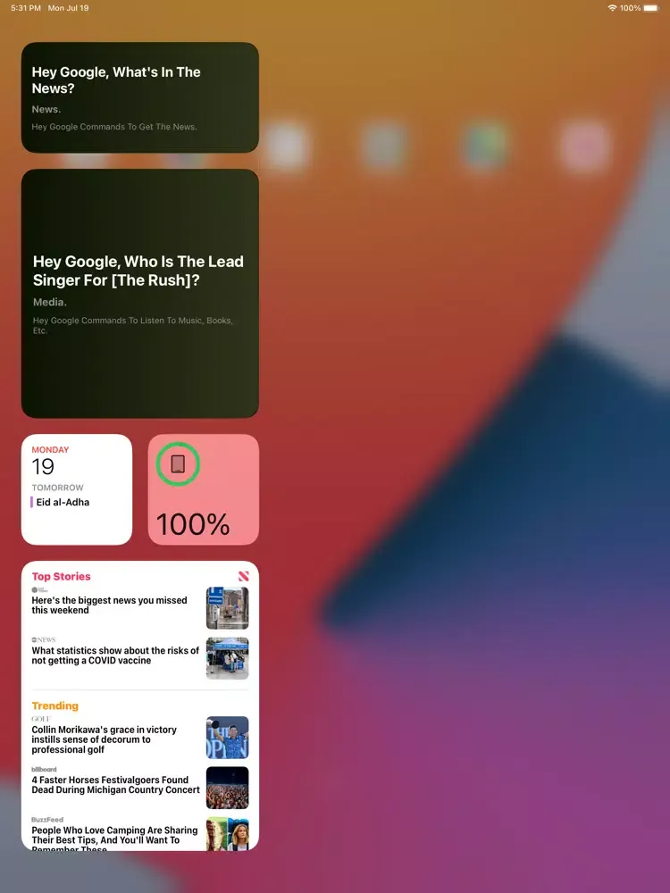 ภาพหน้าจอของ OK google home voice commands iPad 