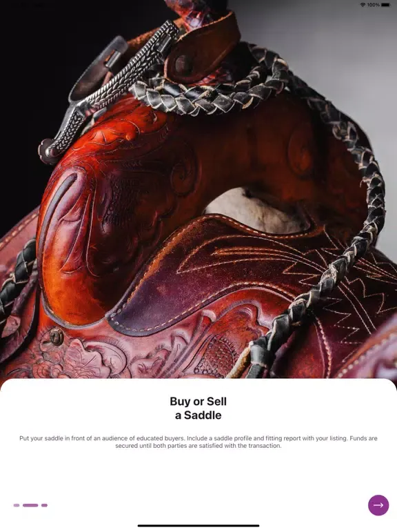 Saddle Genie iPad 應用截圖