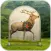 Shooting Deer Range Short Gun