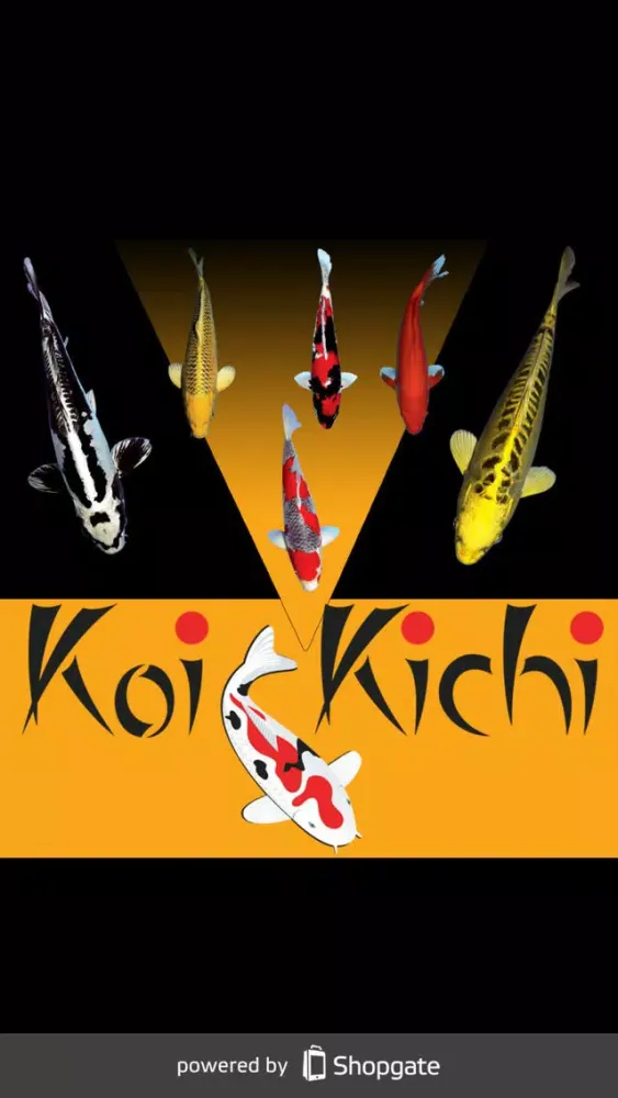 ภาพหน้าจอของ Koi Kichi