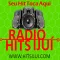 Rádio Hits Ijuí