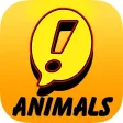 Shoutout Animals