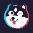 ShowCut - Video Editor & Maker