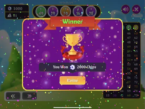 Tangkapan skrin Bingo King - Bingo Master iPad 