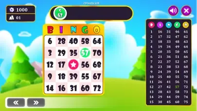 Tangkapan skrin Bingo King - Bingo Master