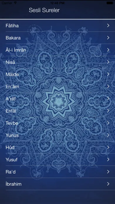 114 Sesli Sure Screenshots