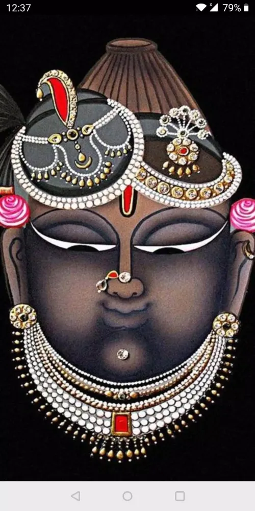 Shrinathji Ringtones dhun arti Screenshots
