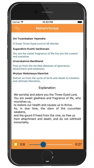 Screenshot di Shri Ram Sharnam