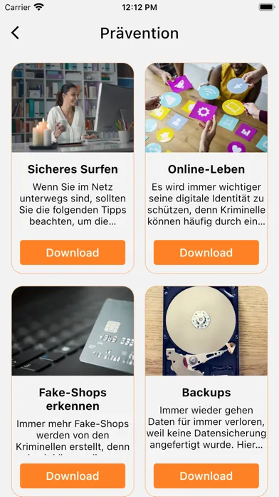 Cyber-Fuchs Privat 스크린샷