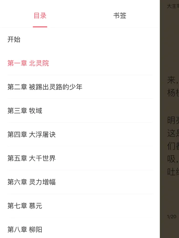 大白书城-追书必备的小说阅读神器 iPad  Screenshots