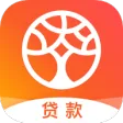 榕树贷款