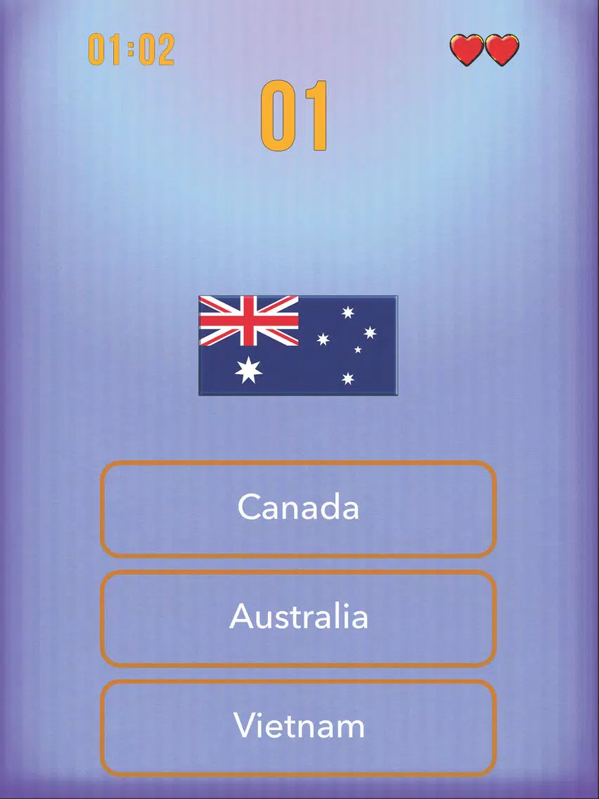 Guess the Flag - World tour iPad 應用截圖