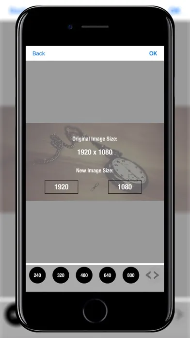 Tangkapan layar Resizer - Photo & Image Editor