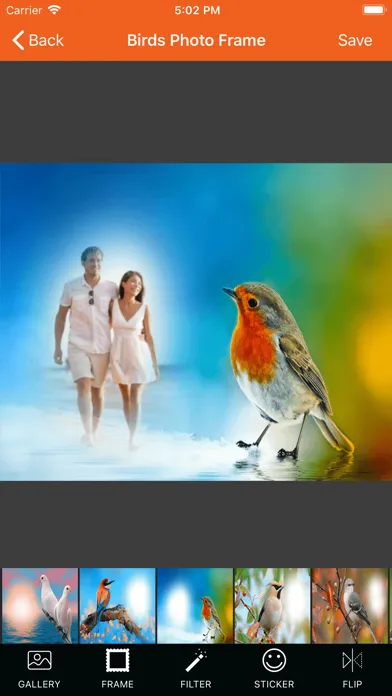 Capturas de pantalla de Bird Photo Frames