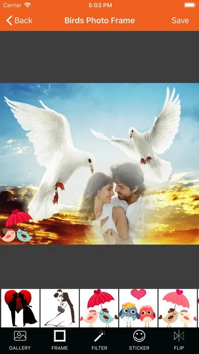 Capturas de pantalla de Bird Photo Frames