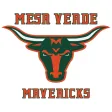 Mesa Verde High School