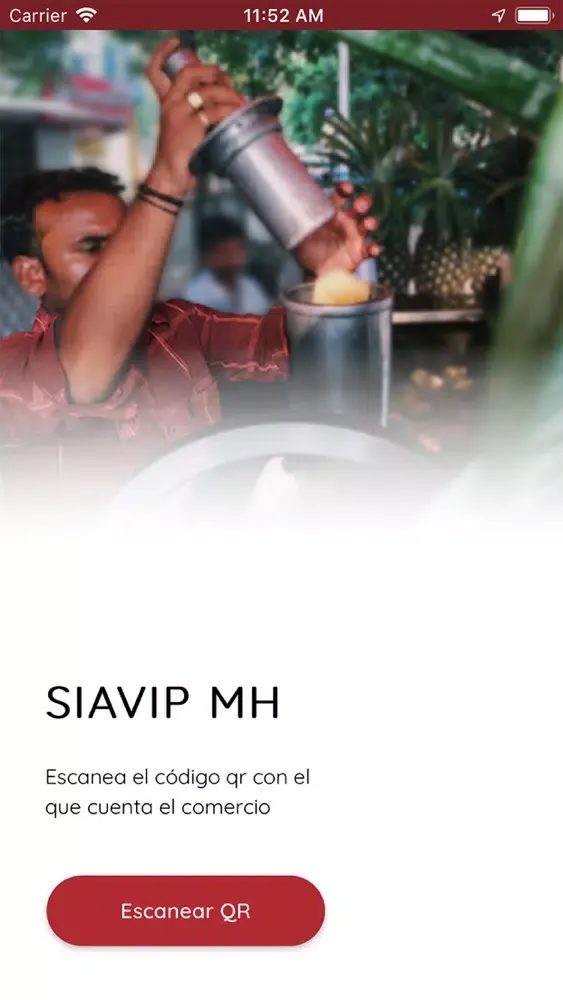 Zrzuty ekranu SIAVIP MH