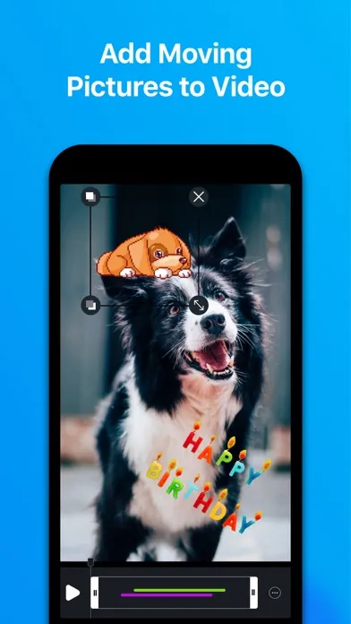 Ảnh chụp màn hình của Video Editor + Stories Maker