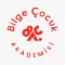 Bilge Çocuk Akademisi