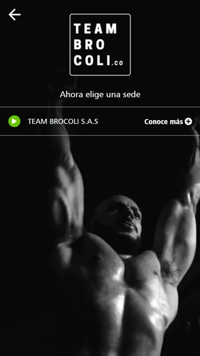 تصاویر Team Brocoli