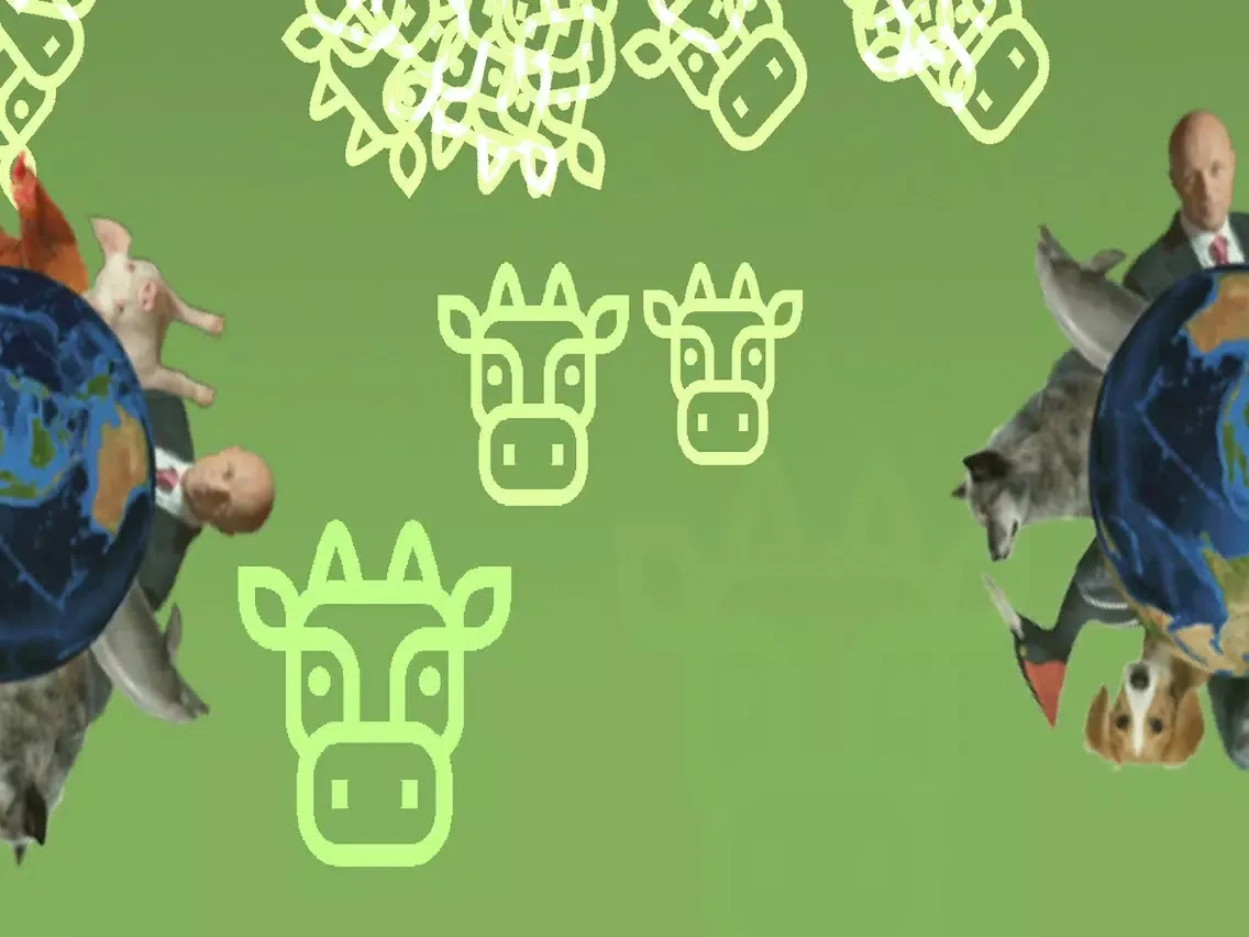Скриншоты SoundLight Animals iPad 